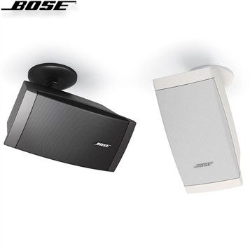 Loa Bose FreeSpace DS 100SE
